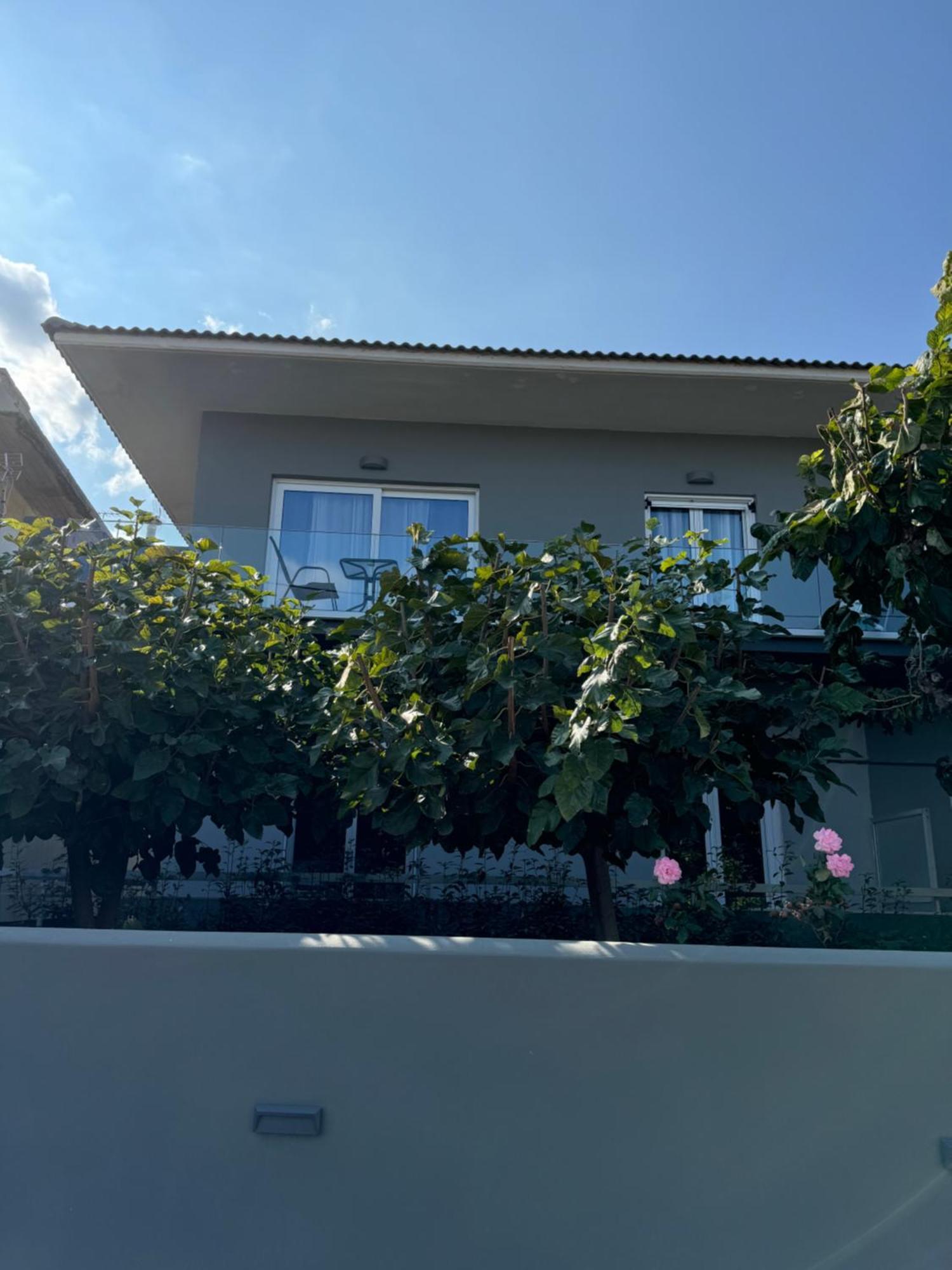 Artemis Apartments Diakopto Ngoại thất bức ảnh